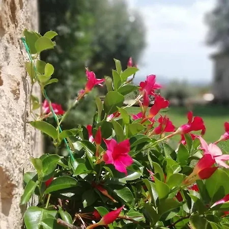 Casa Aria Melograni Di Capichera *